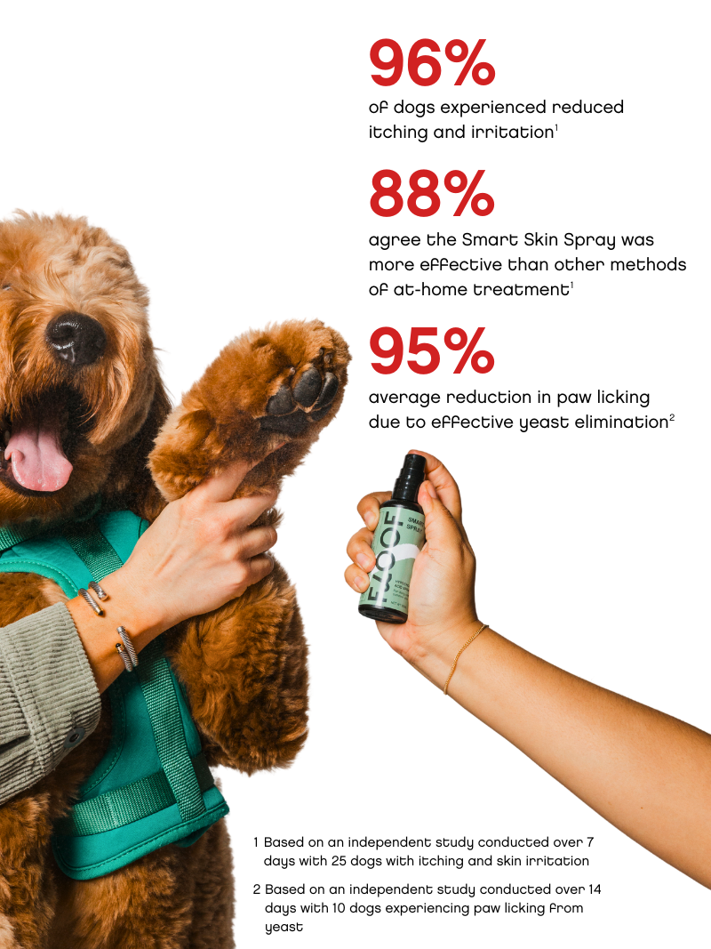Smart Skin Spray : Small