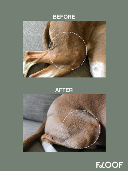 Smart Skin Spray : Small