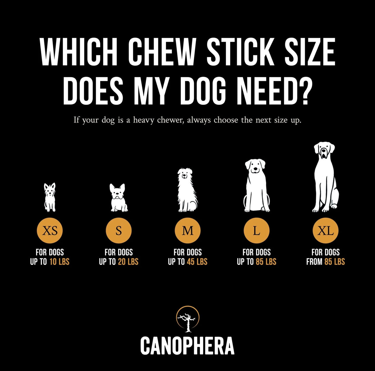 CNP Coffee Wood Chew Stick Extra Small