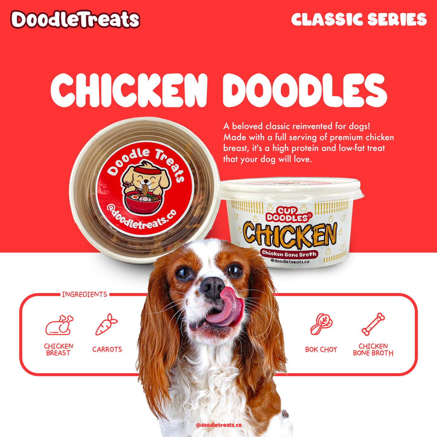 Chicken Doodles (Cup Noodles for Dogs and Cats)